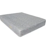 pareri saltele previ